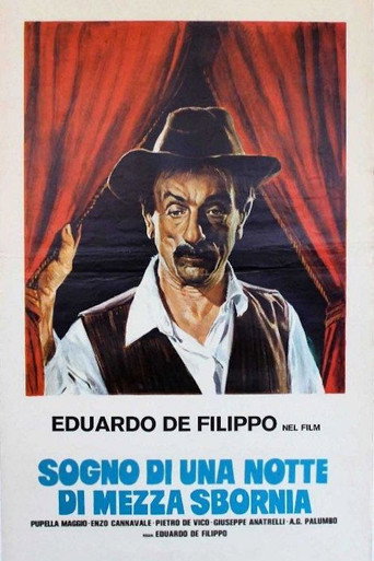 Sogno di una notte di mezza sbornia movie poster