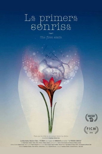 The First Smile movie poster