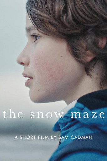 The Snow Maze movie poster