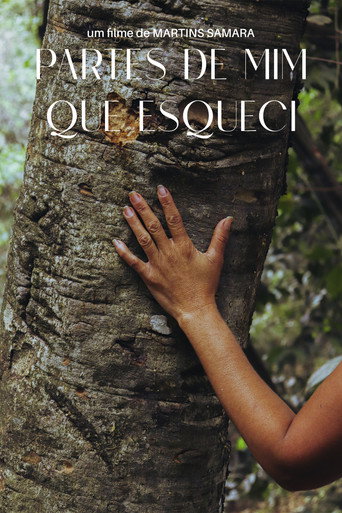 Partes de Mim que Esqueci movie poster