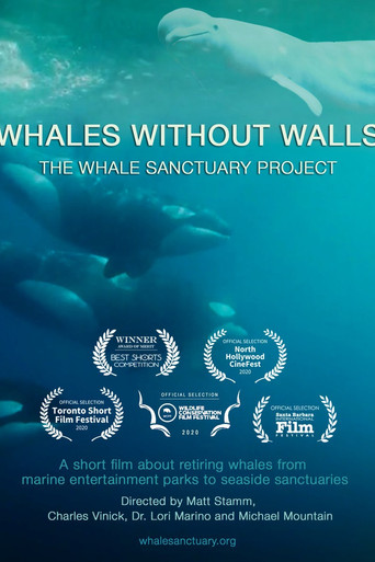 Whales Without Walls movie poster
