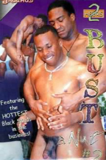 Bust a Nut 2 movie poster