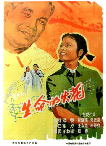 生命的火花 movie poster