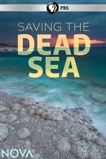 Saving the Dead Sea movie poster