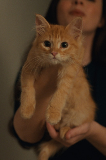 Petunia movie poster