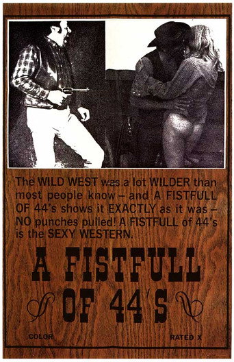 Fist Full of 44's movie poster