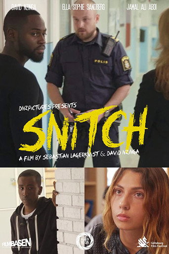 Snitch movie poster