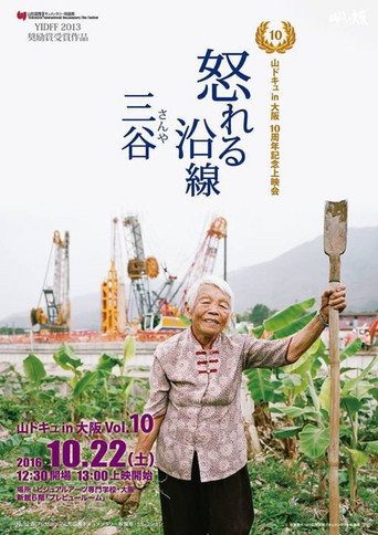 Raging Land 3: Three Valleys movie poster