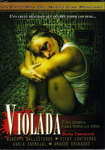 Doña Tormenta movie poster