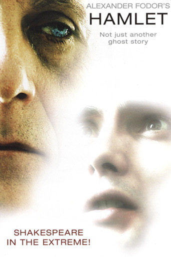Fodor's Hamlet movie poster