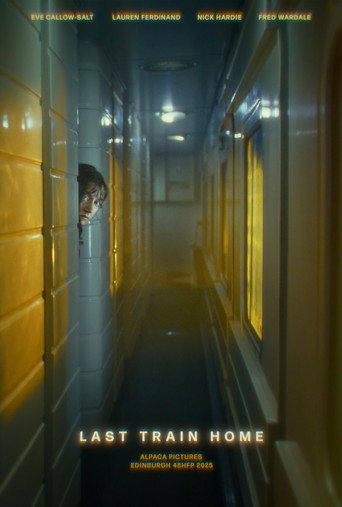 Last Train Home movie poster