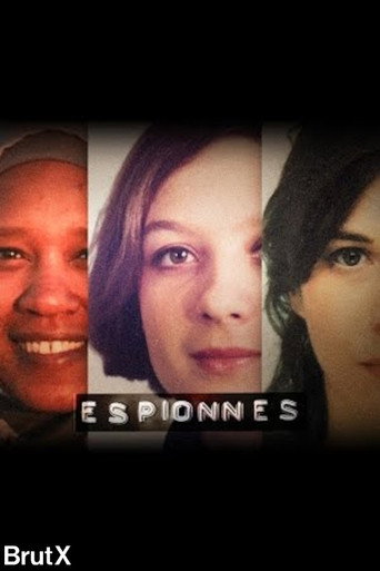Espionnes movie poster