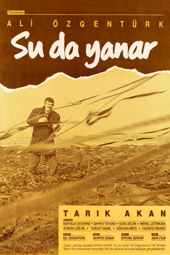 Su da Yanar movie poster