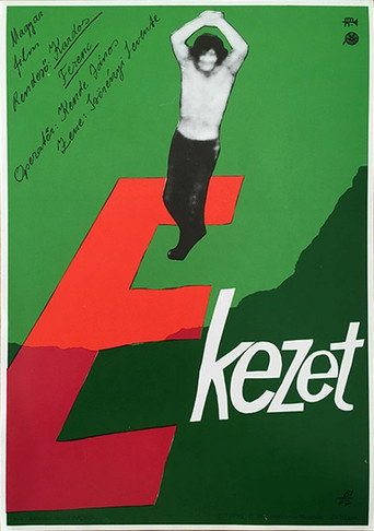 The Accent movie poster