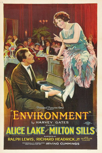 Environment movie poster
