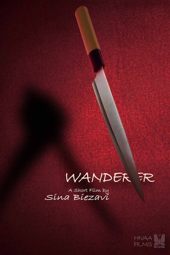 Wanderer movie poster