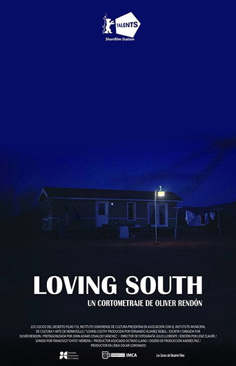 Loving South movie poster