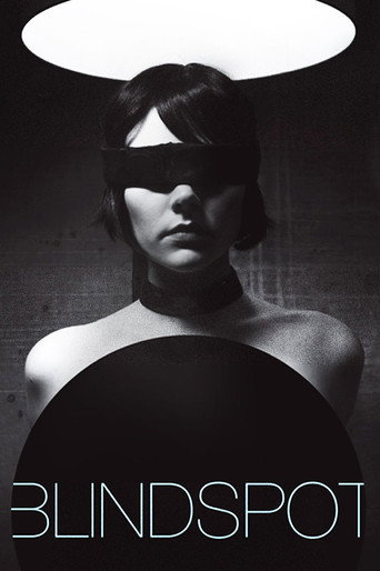 Blindspot movie poster