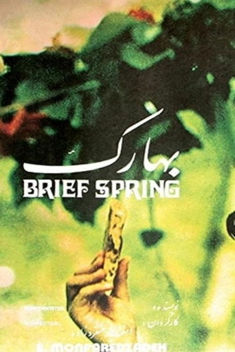 Brief Spring movie poster