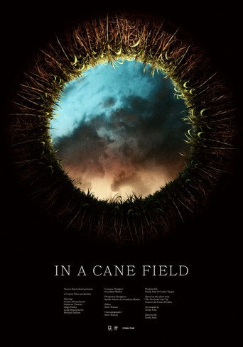 In a Cane Field movie poster
