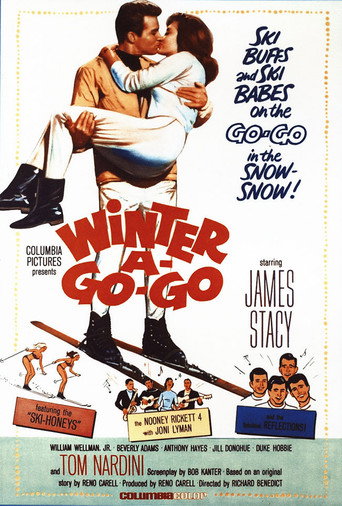 Winter A-Go-Go movie poster