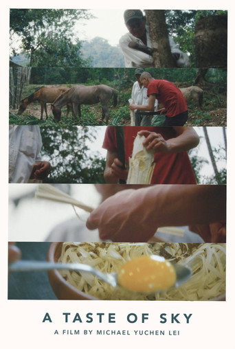 A Taste of Sky movie poster