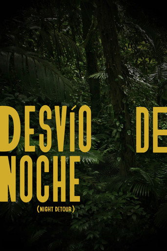 Night Detour movie poster