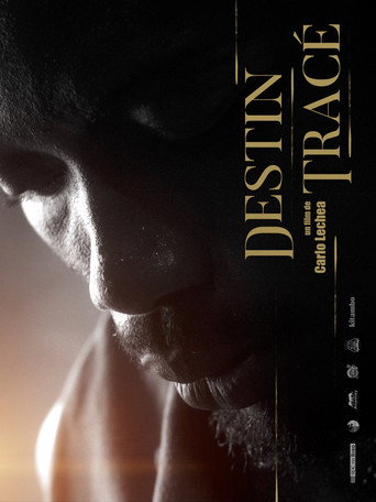 Destiny Traced movie poster