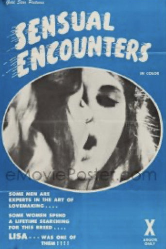 Sensual Encounters movie poster