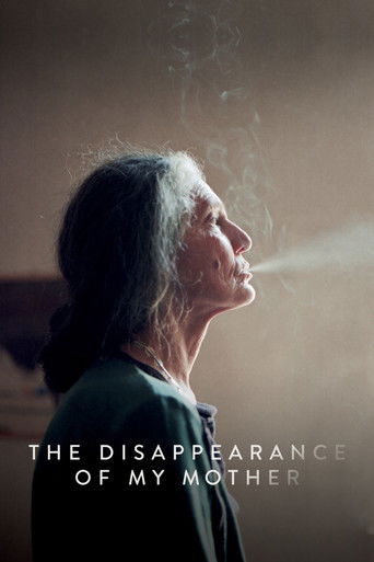 The Disappearance of My Mother movie poster