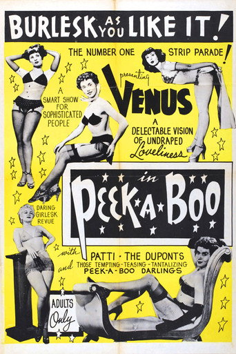 Peek-a-Boo movie poster