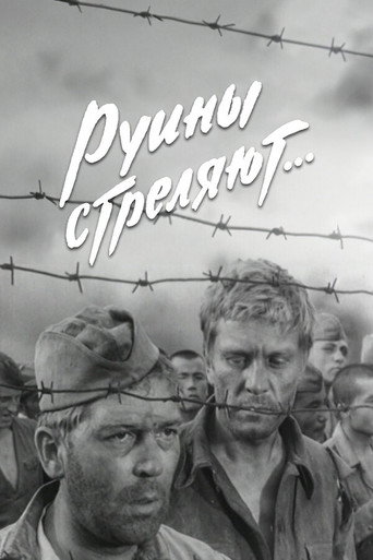 The Ruins Are Firing… movie poster