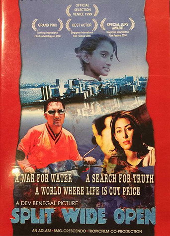 Split Wide Open movie poster
