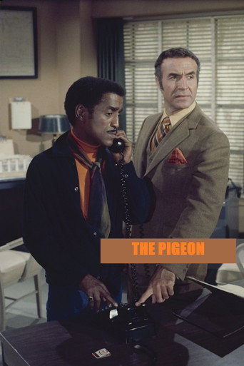 The Pigeon movie poster