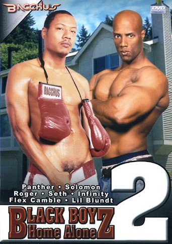 Black Boyz Home Alone 2 movie poster