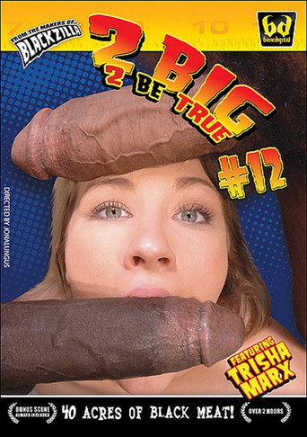 2 Big 2 Be True 12 movie poster