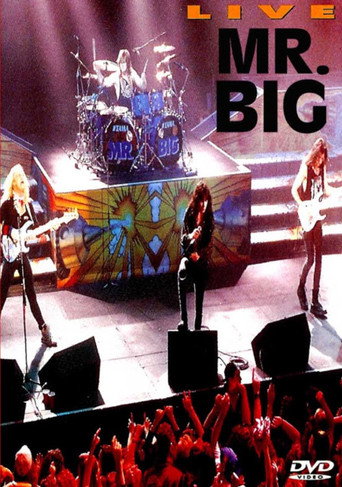 Mr. Big: Live movie poster