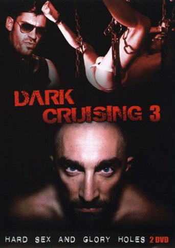 Dark Cruising 3 movie poster