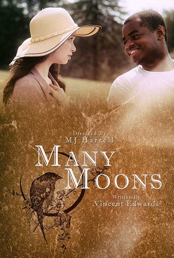 Many Moons movie poster