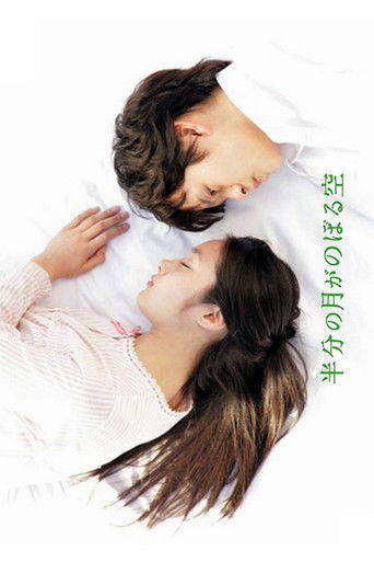 Looking Up at the Half-Moon movie poster