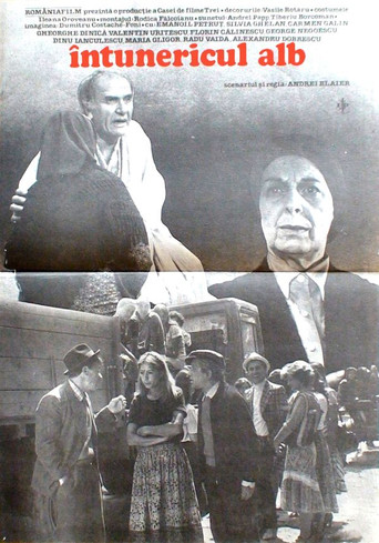 White Darkness movie poster
