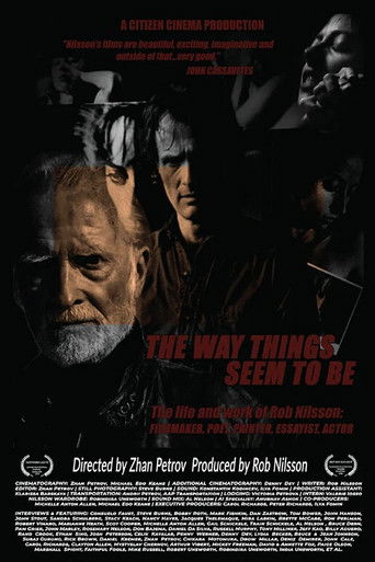 The Way Things Seem to Be movie poster