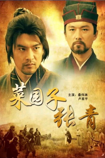 菜园子张青 movie poster