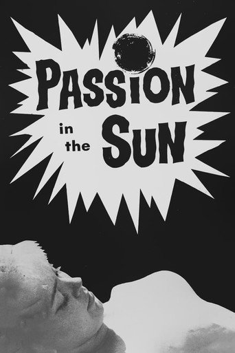 Passion in the Sun movie poster