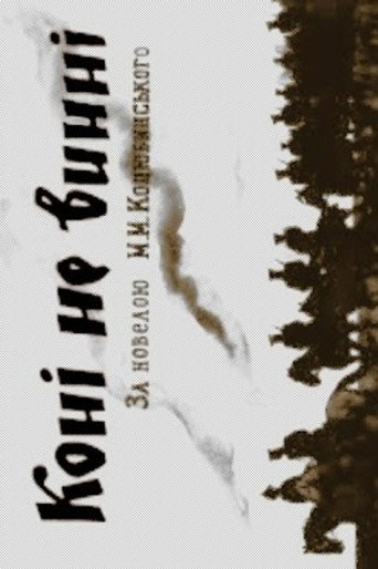 The Horses Are Not Guilty movie poster