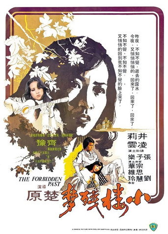 The Forbidden Past movie poster