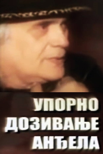 Persistent Invocation of Angels movie poster