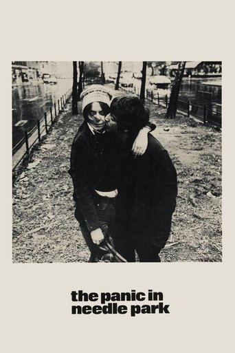 The Panic in Needle Park movie poster
