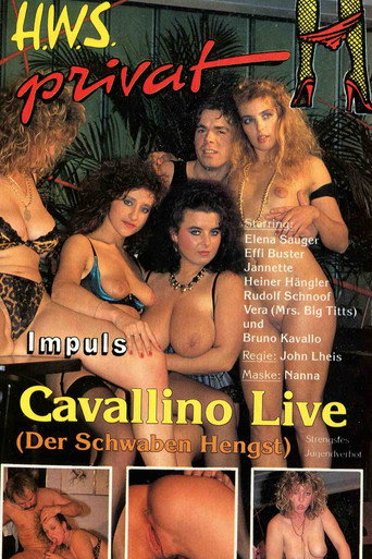 Cavallino Live (Der Schwaben Hengst) movie poster