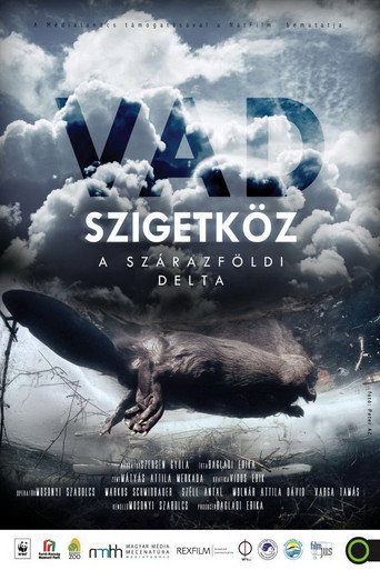 Szigetköz - The Inland Delta of the River Danube movie poster